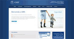 Desktop Screenshot of gmssa.com.ar